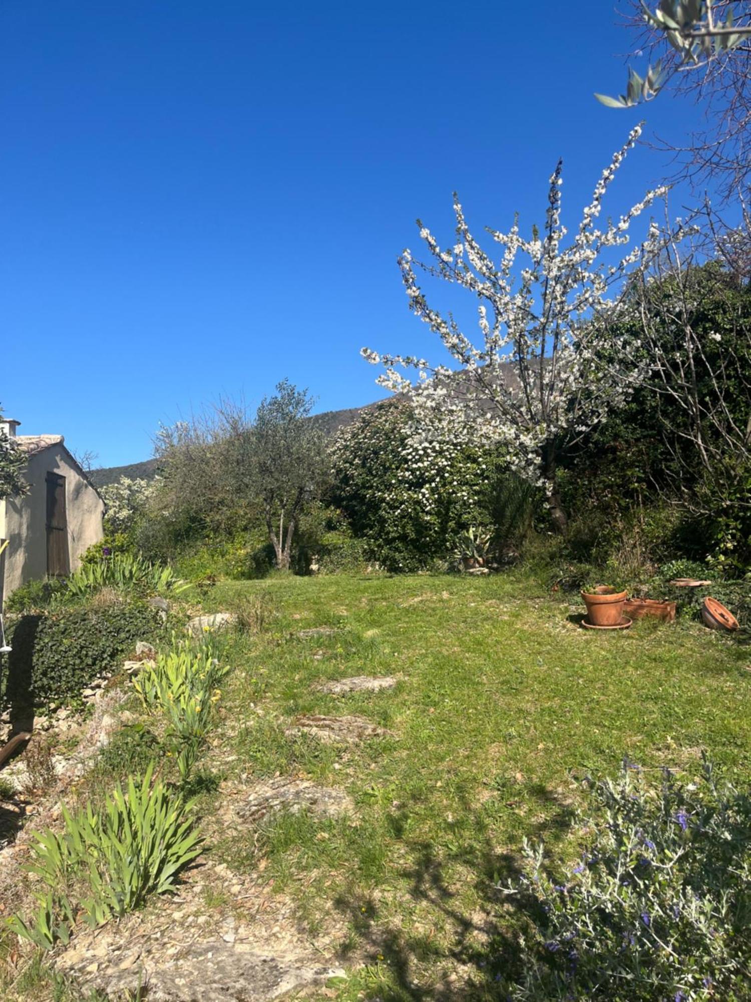 Villa Cabanon entouré de montagnes et d'oliviers à Nyons Extérieur photo