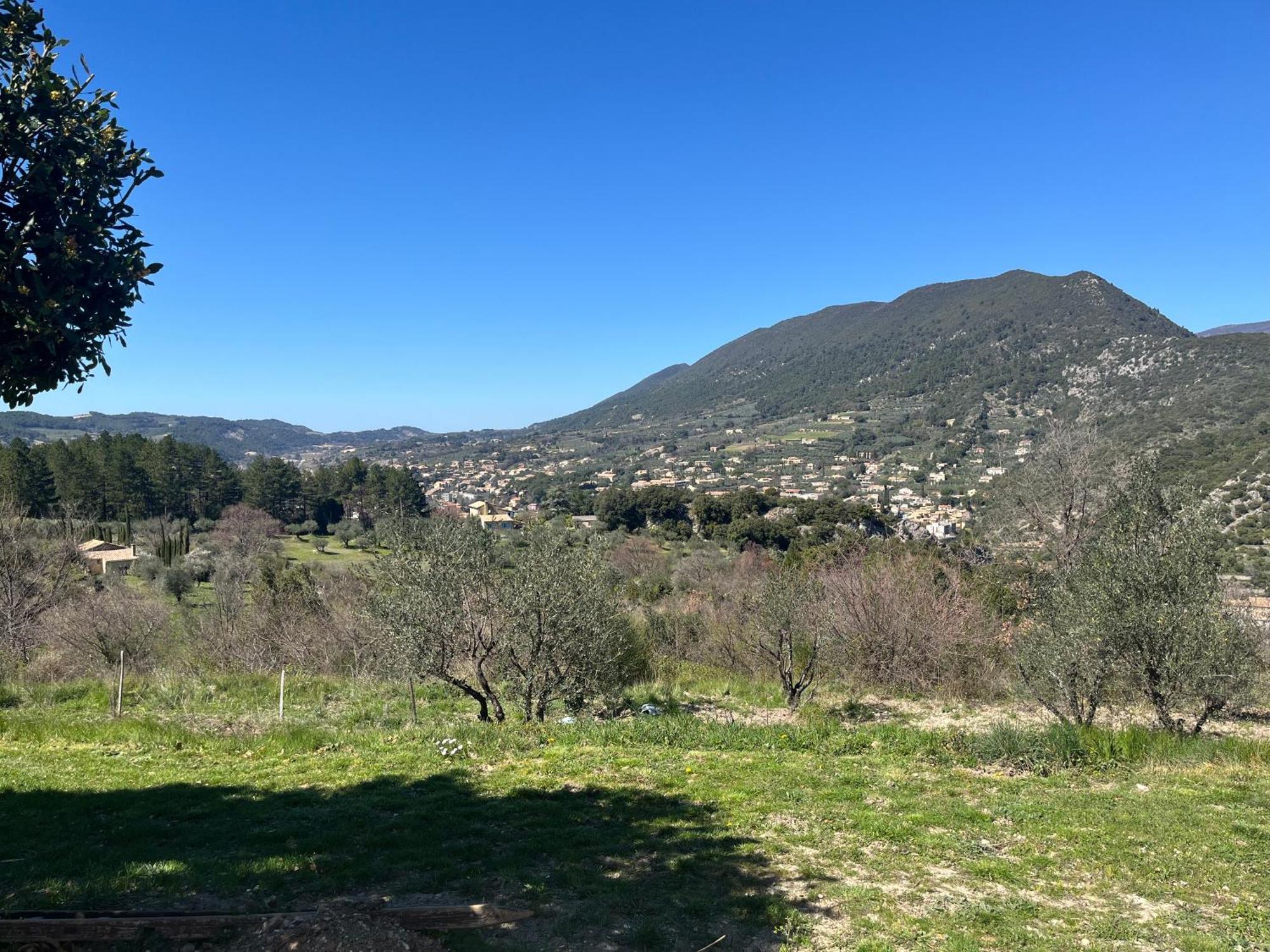 Villa Cabanon entouré de montagnes et d'oliviers à Nyons Extérieur photo